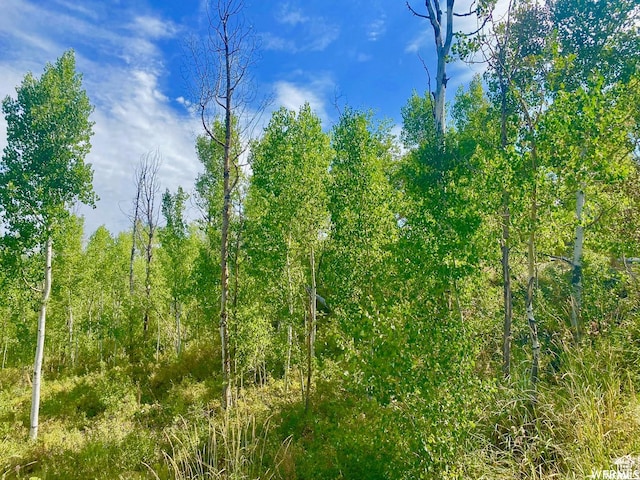 10445 E Lake Pines Dr Unit 723, Heber City, UT 84032
