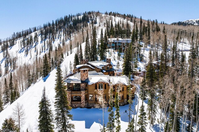 110 White Pine Canyon Rd, Park City, UT 84060 - photo 65