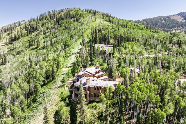 110 White Pine Canyon Rd, Park City, UT 84060 - photo 69