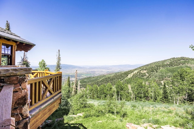 110 White Pine Canyon Rd, Park City, UT 84060 - photo 77