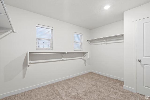 3474 S 3100 W Unit 146, West Haven, UT 84401 - walk in closet featuring carpet flooring