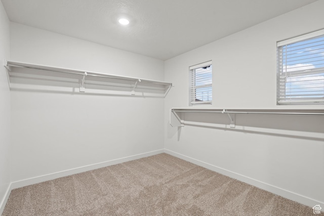 3474 S 3100 W Unit 146, West Haven, UT 84401 - walk in closet with carpet floors