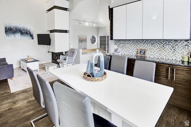 dining room with dark hardwood / wood-style floors