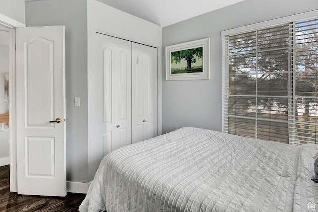 bedroom with dark hardwood / wood-style flooring and a closet