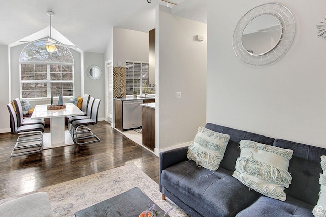 living room with wood-type flooring and lofted ceiling