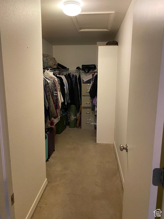 454 S Lincolnshire W, Kaysville, UT 84037 - walk in closet featuring carpet