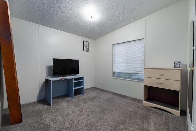 carpeted office featuring a textured ceiling and lofted ceiling