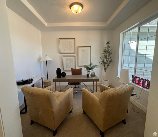 home office featuring a raised ceiling and light colored carpet
