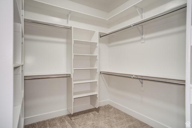 1259 W Moon Way Unit 134, Riverton, UT 84065 - walk in closet with light colored carpet