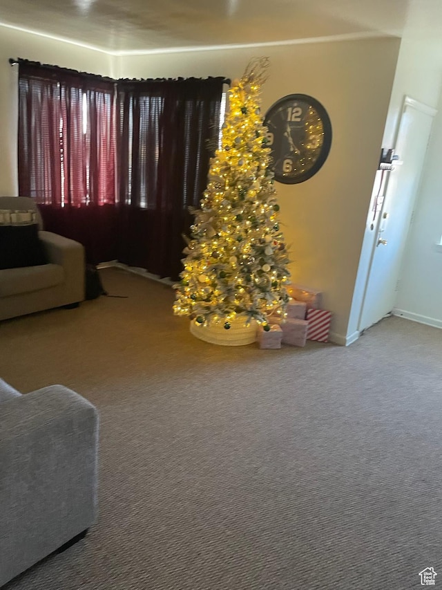 5313 S Alpine Dr, Murray, UT 84107 - photo 3