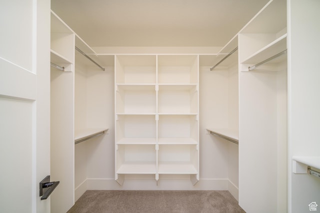 walk in closet with carpet floors