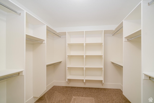 spacious closet with carpet