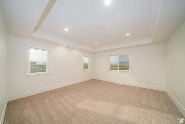 spare room featuring carpet, plenty of natural light, and a raised ceiling