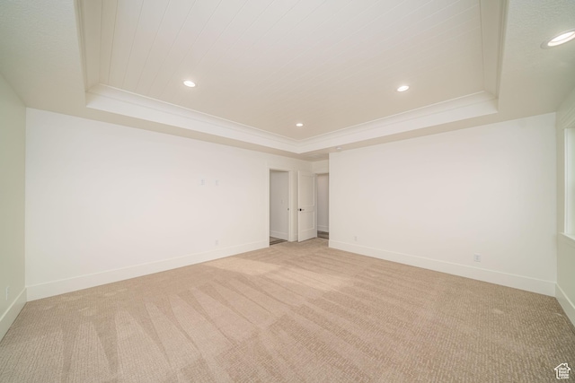 carpeted spare room with a raised ceiling