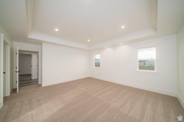 spare room featuring light carpet, a raised ceiling, and a wealth of natural light