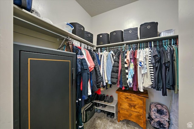 3459 S 2960 E, St George, UT 84790 - spacious closet with carpet floors