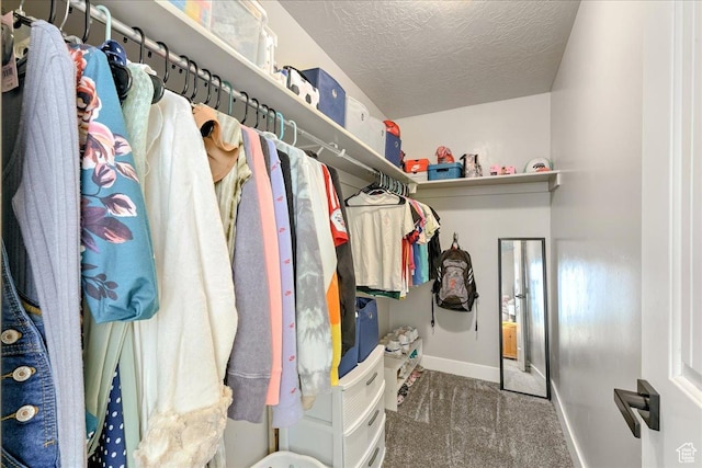 3459 S 2960 E, St George, UT 84790 - spacious closet with carpet flooring