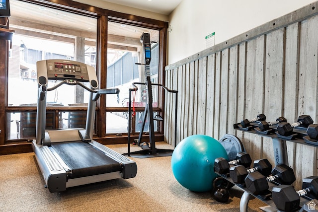 41 E Silver Star Ct Unit C-19, Park City, UT 84060 - workout room with carpet flooring