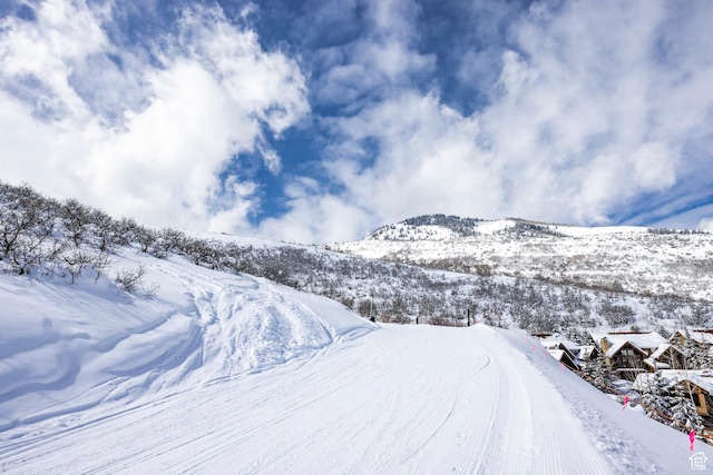 41 E Silver Star Ct Unit C-19, Park City, UT 84060 - mountain view