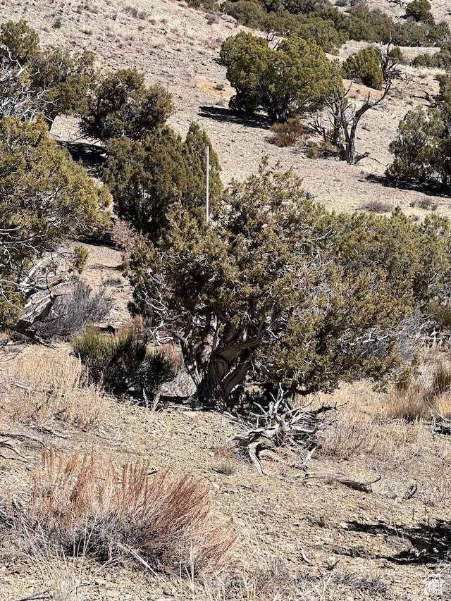22432 W 1350 S, Duchesne, UT 84021 - photo 28