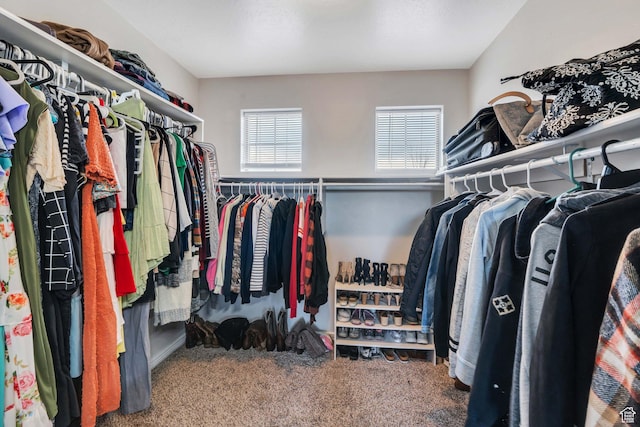 685 E Bullrush Pkwy E, Lehi, UT 84043 - spacious closet with carpet