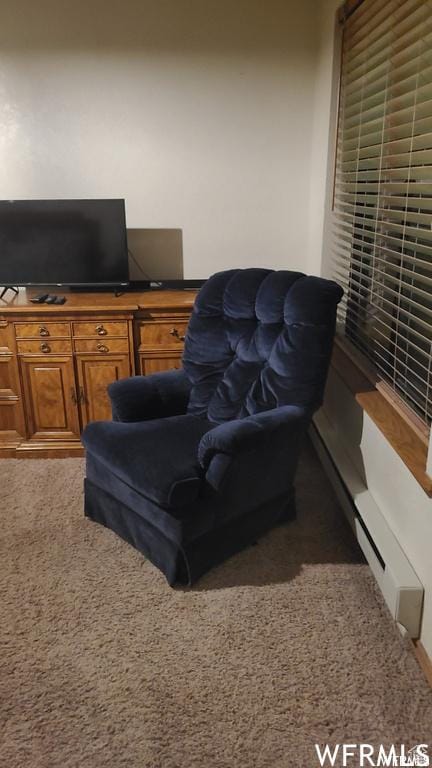 150 W Ridge View St Unit 215, Brian Head, UT 84719