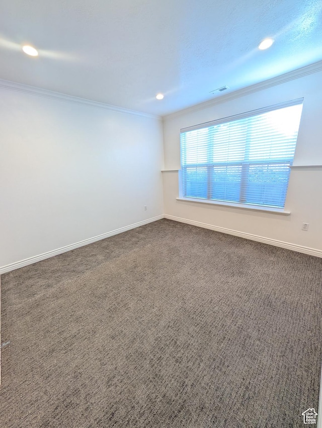 spare room with carpet and crown molding