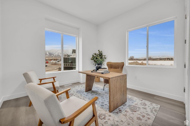 office featuring baseboards and wood finished floors