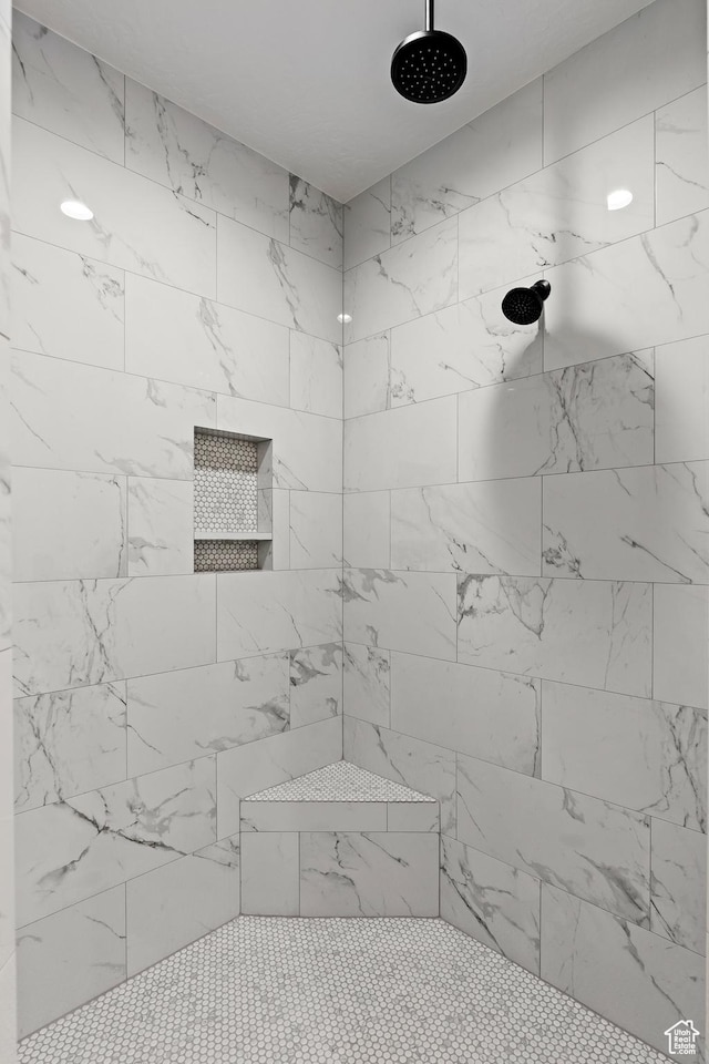 1539 W 2130th Cir S, St George, UT 84770 - bathroom with tiled shower