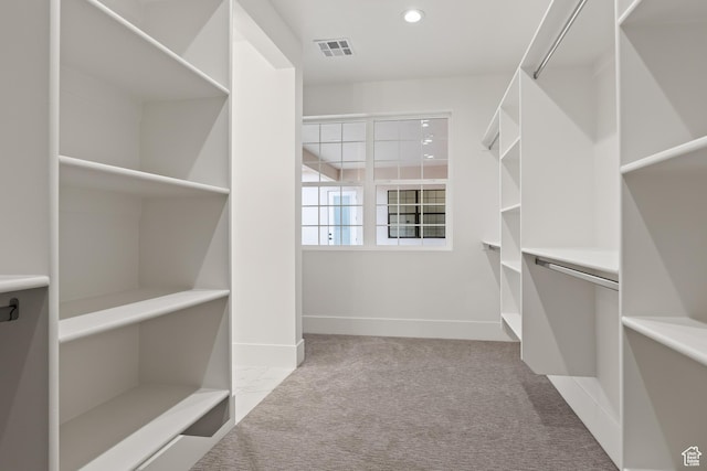 1539 W 2130th Cir S, St George, UT 84770 - spacious closet with light colored carpet