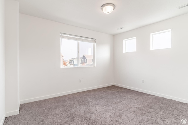 spare room featuring a wealth of natural light and carpet