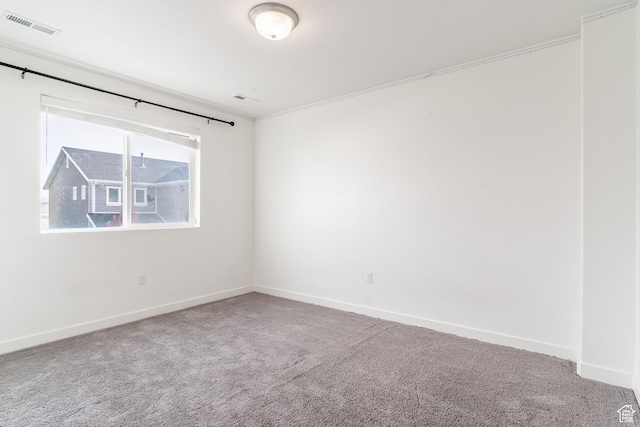 unfurnished room featuring carpet and ornamental molding