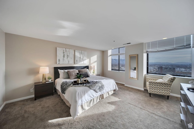 44 W 300 S Unit 2306S, Salt Lake City, UT 84101 - bedroom featuring carpet
