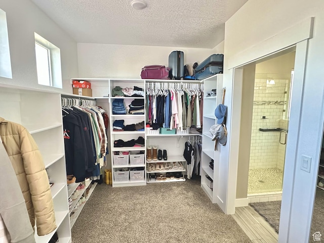 6057 W Herriman View Way S, Herriman, UT 84096 - walk in closet with carpet