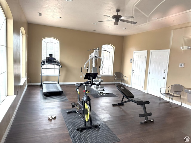 workout area featuring ceiling fan and a healthy amount of sunlight