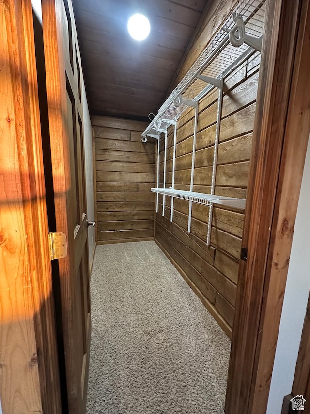 walk in closet featuring carpet