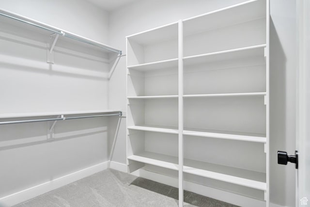 walk in closet featuring carpet flooring