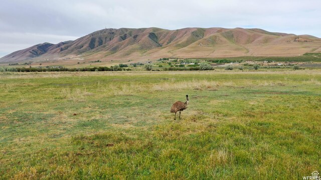 5500 W 5600 S, Lake Shore, UT 84660 - photo 12