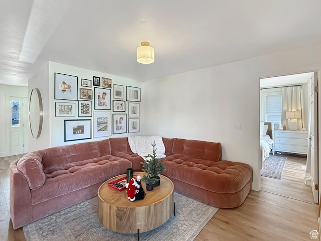 living room with light wood-style floors
