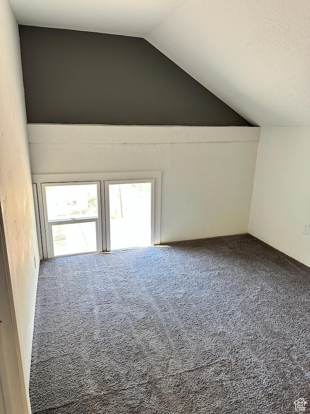 45 W Main St, Moroni, UT 84646 - additional living space featuring carpet flooring, a textured ceiling, and lofted ceiling