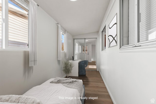 1160 E Telegraph St Unit 4, Washington, UT 84780 - bedroom featuring dark hardwood / wood-style floors, vaulted ceiling, and a closet