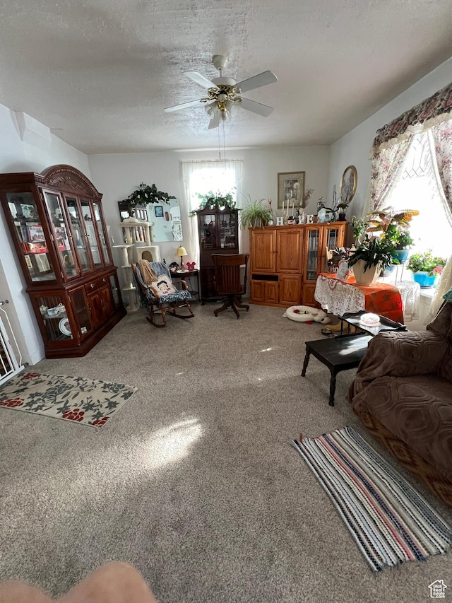 340 Jefferson St, Montpelier, ID 83254 - carpeted living area featuring a ceiling fan and a textured ceiling