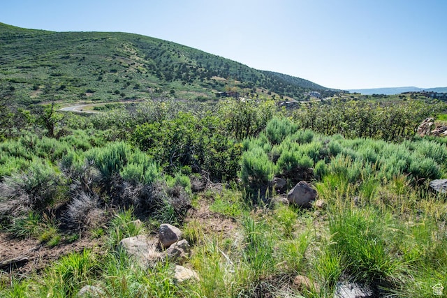1964 N Lookout Peak Cir Unit 540, Heber City, UT 84032 - photo 8