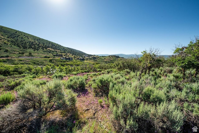1964 N Lookout Peak Cir Unit 540, Heber City, UT 84032 - photo 4