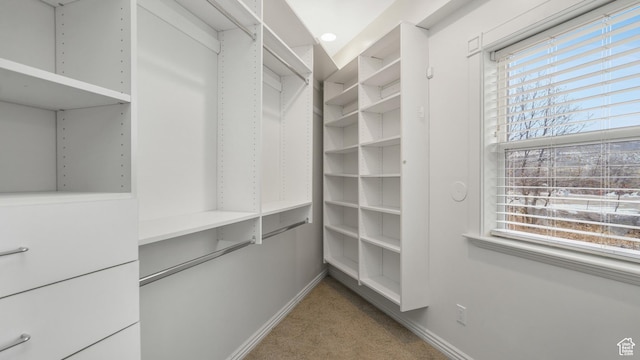 walk in closet featuring carpet floors