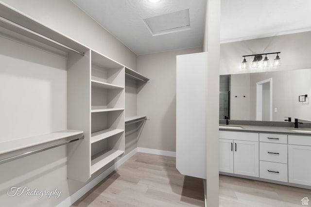 walk in closet with light hardwood / wood-style floors and sink