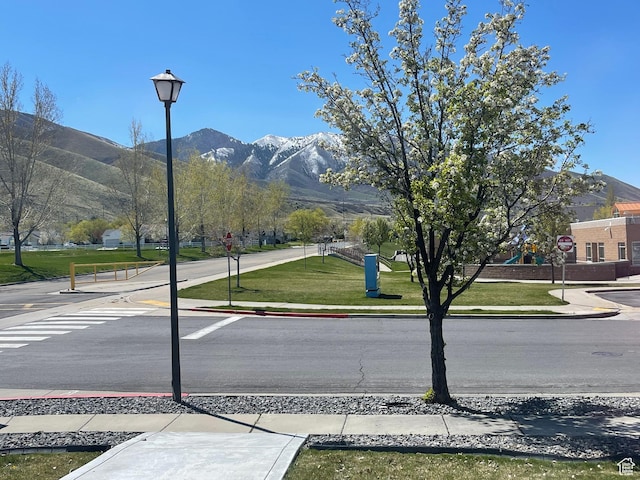 908 W Timpie Rd S, Tooele, UT 84074 - view of home's community with a mountain view and a yard