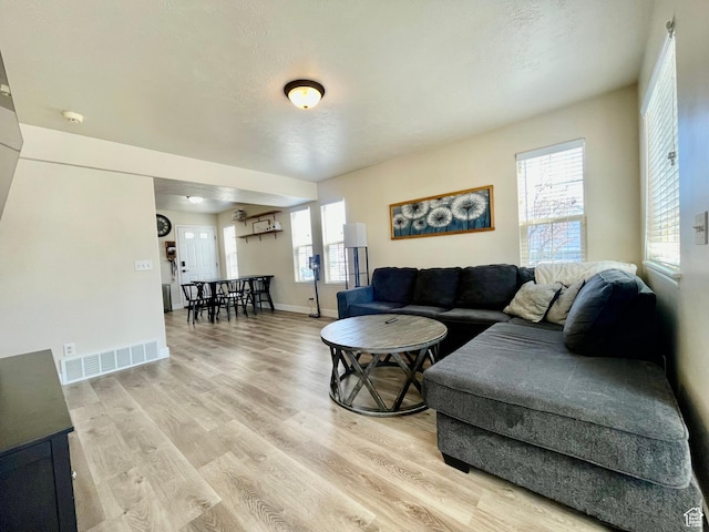 908 W Timpie Rd S, Tooele, UT 84074 - living room with light wood-type flooring, plenty of natural light, and baseboards