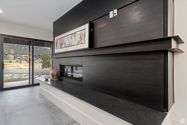 1316 N Gold Mountain Cir, Heber City, UT 84032 - detailed view of a glass covered fireplace