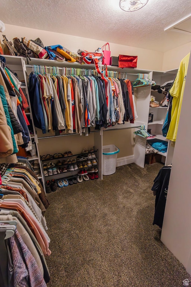 743 N 1100 E, Nephi, UT 84648 - walk in closet featuring carpet flooring
